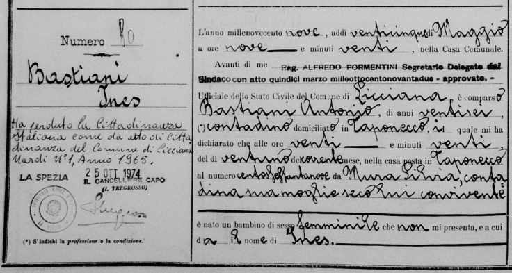 bastiani-ines-bc-copy